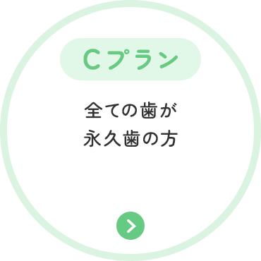 Cプラン 全ての歯が 永久歯の方